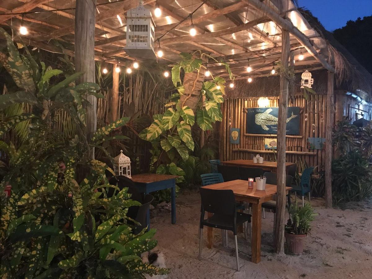 Eco Hostel Casa Del Aguaホルボックス島 エクステリア 写真