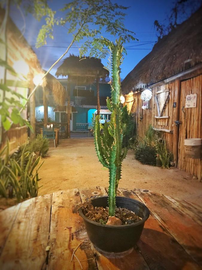 Eco Hostel Casa Del Aguaホルボックス島 エクステリア 写真